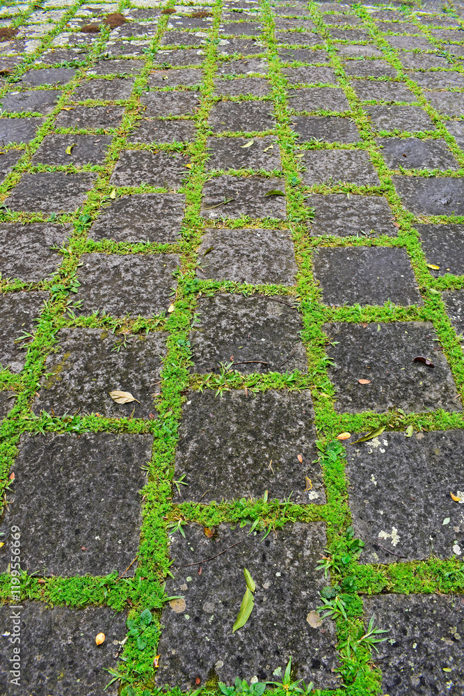 Paving stones with grass on public park in Teresopolis, Rio de Janeiro, Brazil