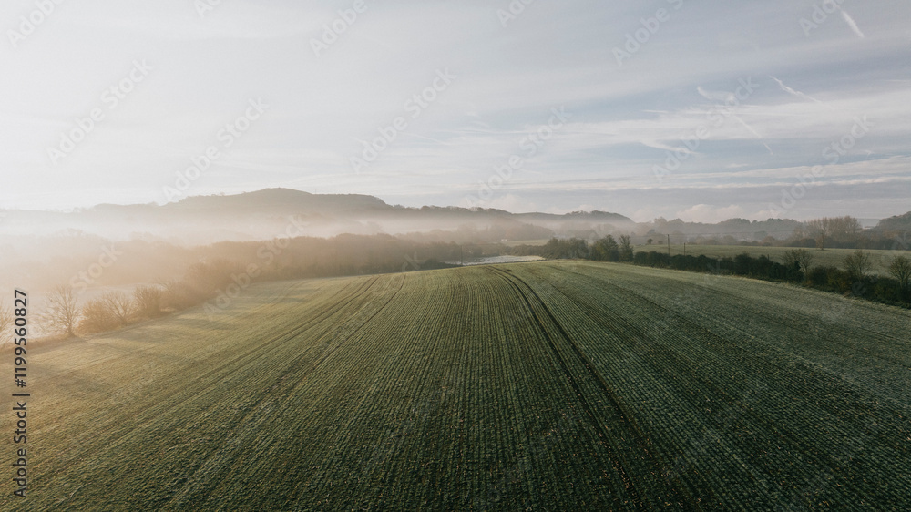 A foggy morning in a field with a few trees in the background. The sky is cloudy and the sun is barely visible A foggy morning in a field with a few trees in the background. The sky is cloudy and the sun is barely visible