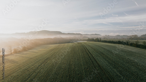 A foggy morning in a field with a few trees in the background. The sky is cloudy and the sun is barely visible photo