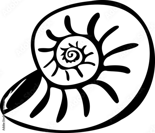 Round seashell, vector shell in black color