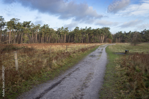 Walking track across the Heidebos, near Moerbeke in East Flanders, Belgium. Winters day at this Nature reserve on the border of Waasland and Meetjesland. photo