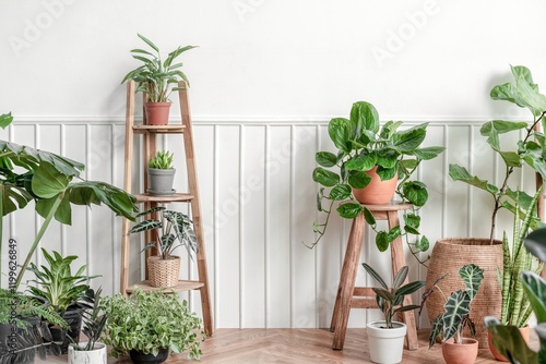 Фотография Indoor houseplants, plant parent interior design