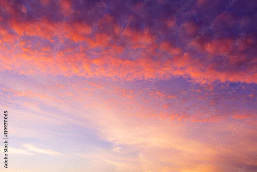 Pink sky and clouds,Fantasy sky with sugar cotton pink pastel clouds in a dreamy background Pink sky and clouds,Fantasy sky with sugar cotton pink pastel clouds in a dreamy background