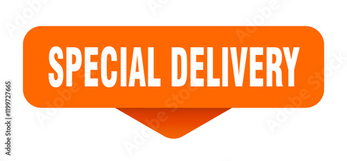 special delivery sticker. special delivery sign on transparent background photo