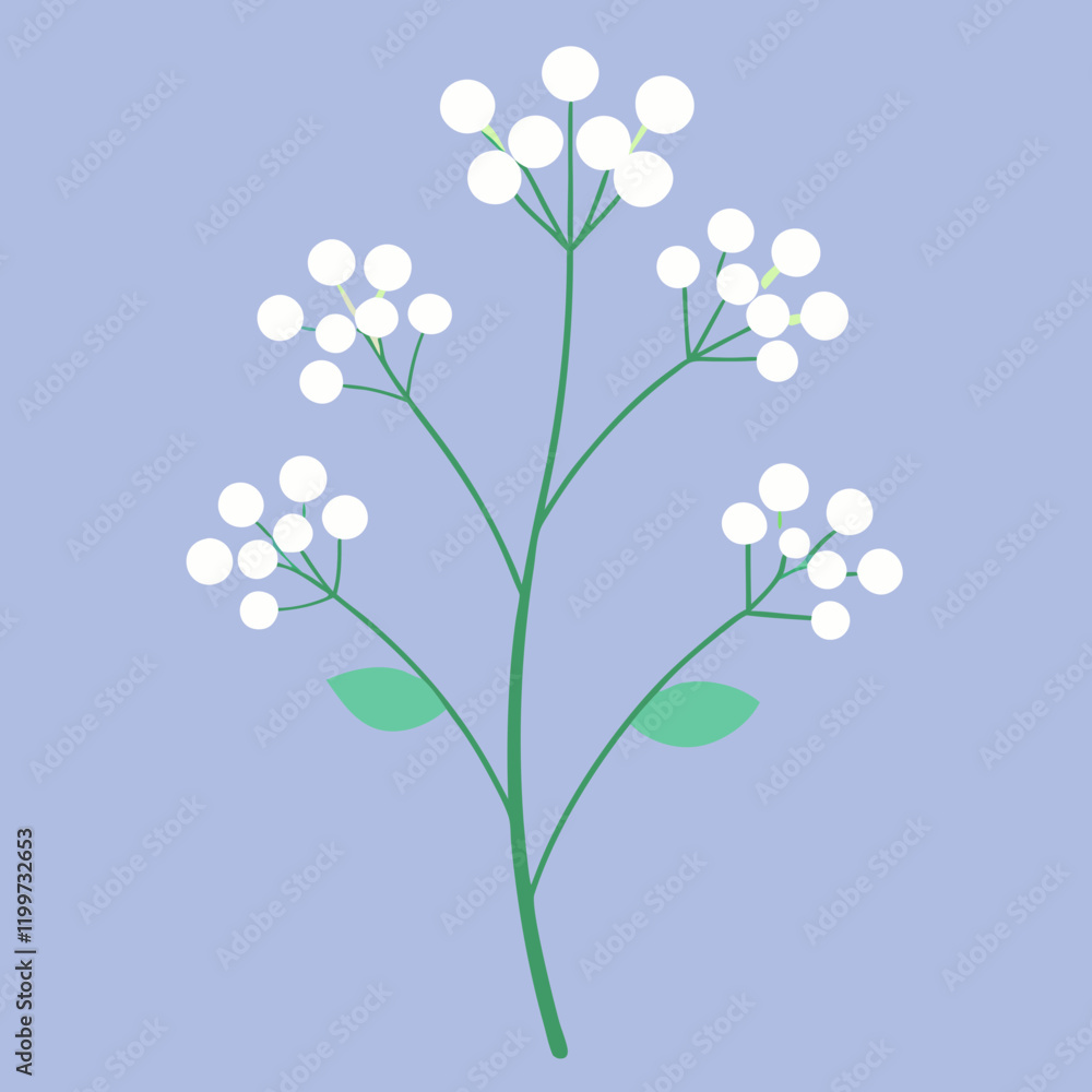 vector illustration of a flower baby breath vector illustration of a flower baby breath