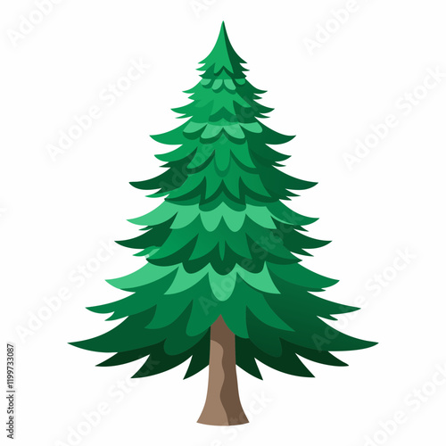 fir tree vector illustration