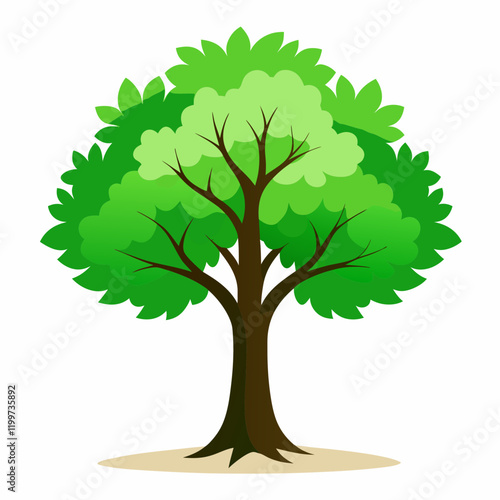 green tree isolated on white background birch