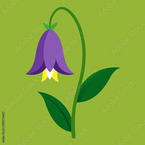 vector illustration of a flower bellflower