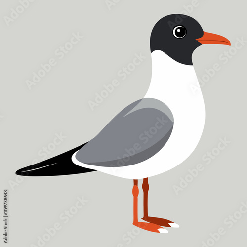 vector illustration of a bird black headed gull