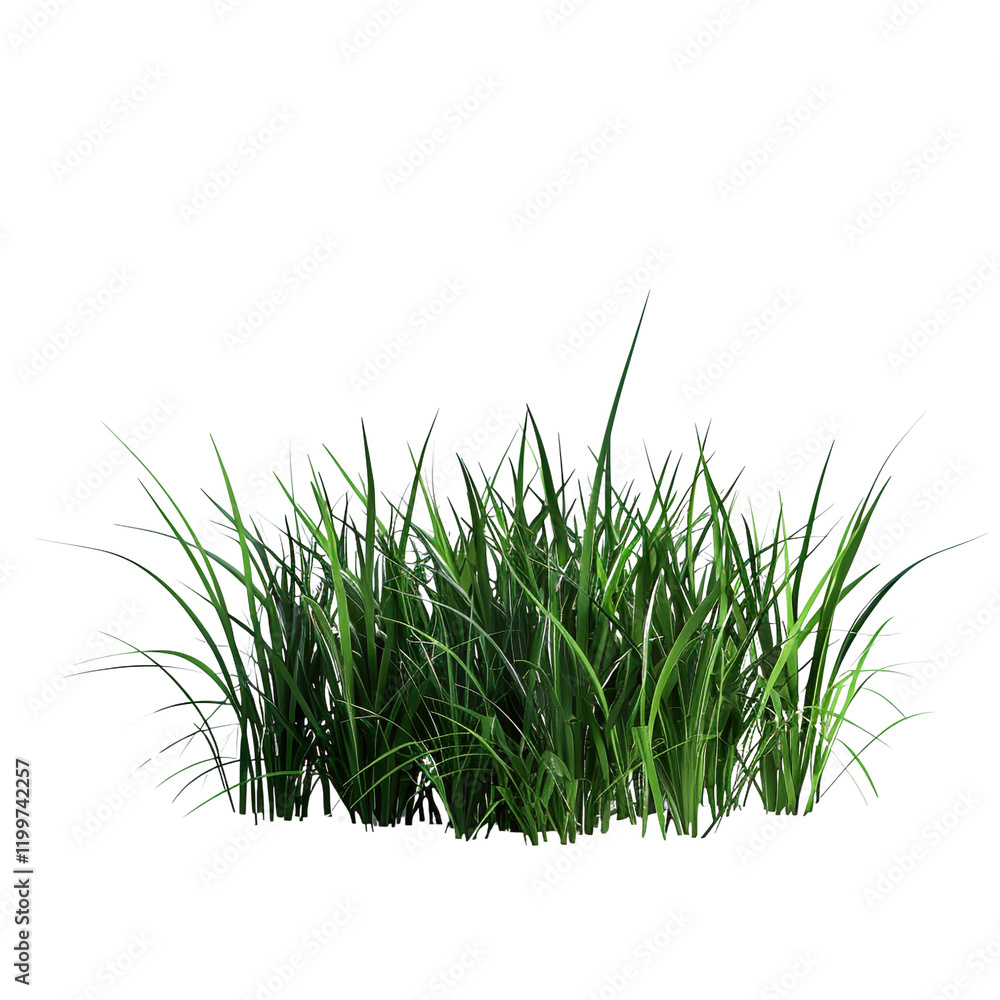 Obraz premium Lush green grass isolated on transparent background perfect for landscaping design nature scenes or digital art projects showcasing vibrant green blades of grass