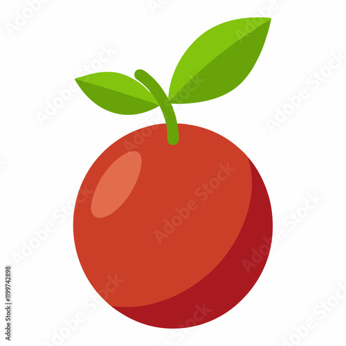 camu fruit vector illustration