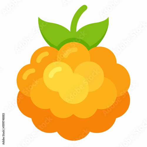 vector illustration of grapes cloudberry