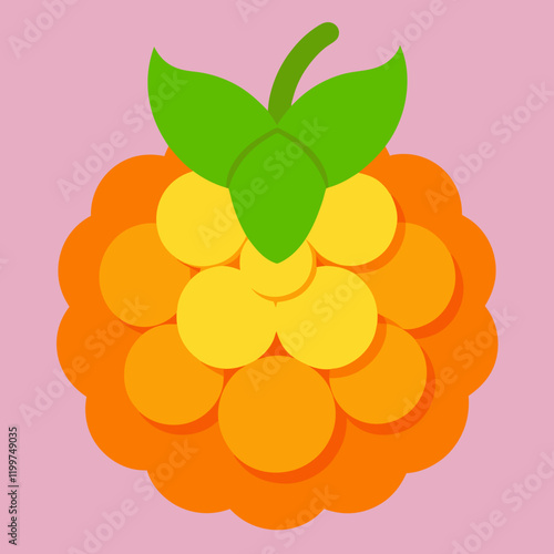 vector illustration of grapes cloudberry