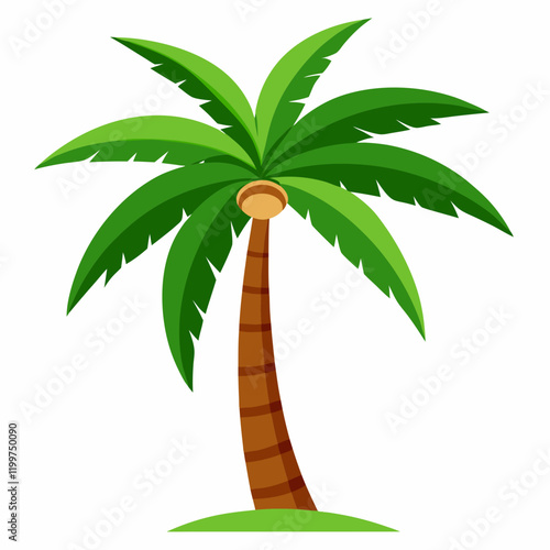 coconut palm tree vector illustration