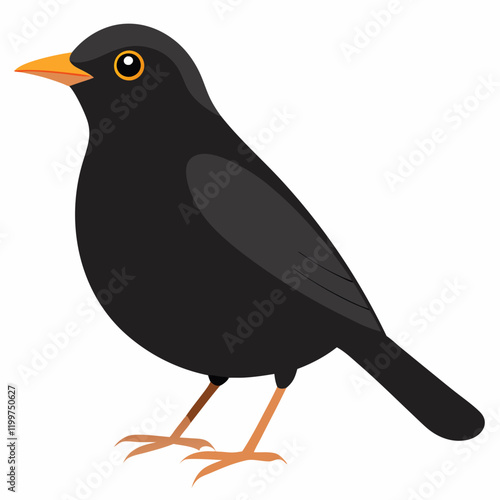 common blackbird cartoon vector