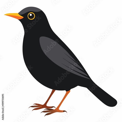 common blackbird cartoon vector