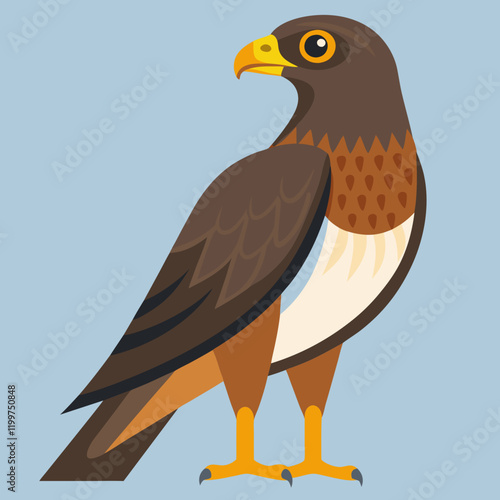 eagle on a branch common buzzard