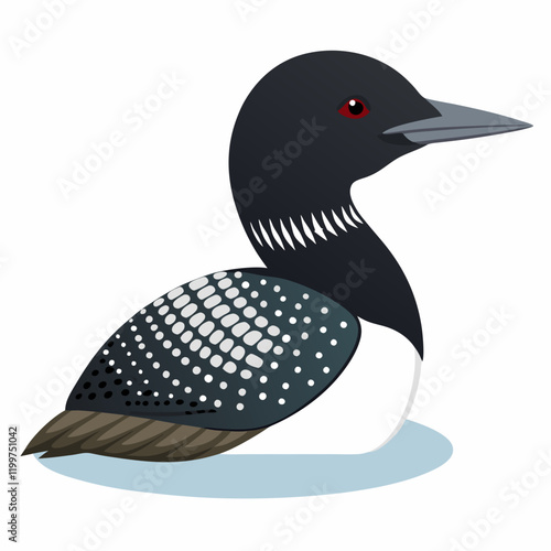vector illustration of a duck common loon