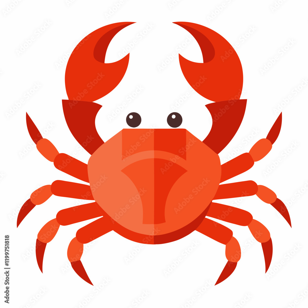 red crab isolated on white background red crab isolated on white background