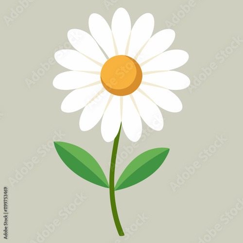 daisy flower vector illustration