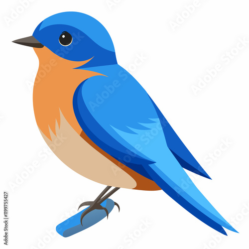 eastern bluebird on a branch