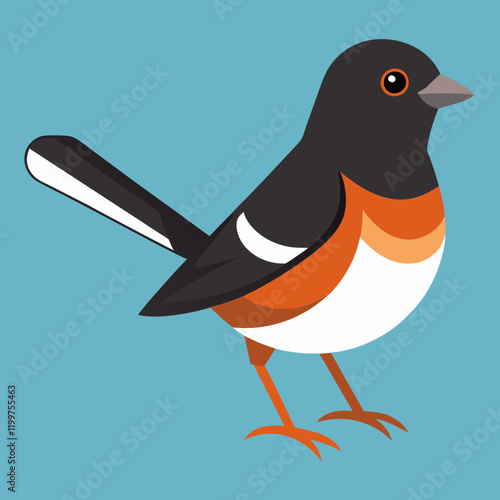 illustration of an eastern towhee