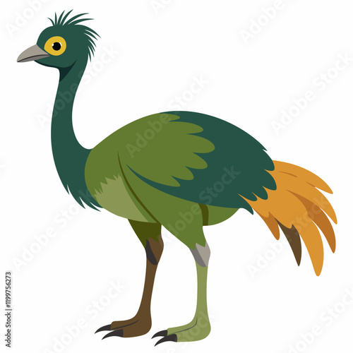 vector illustration of an ostrich emu