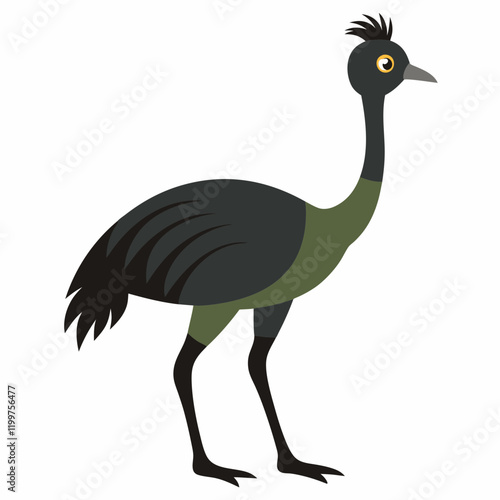 illustration of an emu