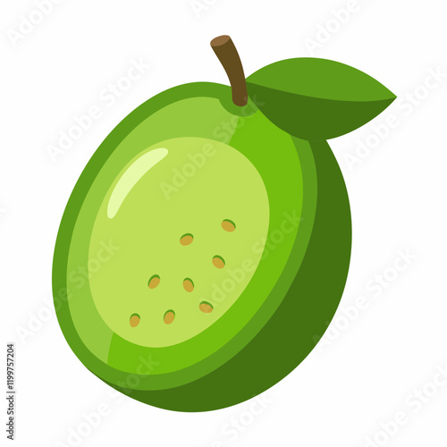 vector illustration of a feijoa