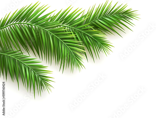 Lush Green Palm Fronds Tropical Background Image. Palm Sunday photo