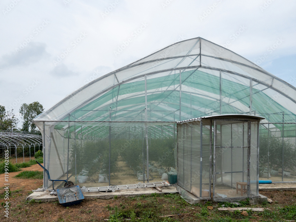 Modern Greenhouse for Sustainable Farming in a Mountain Orchard.