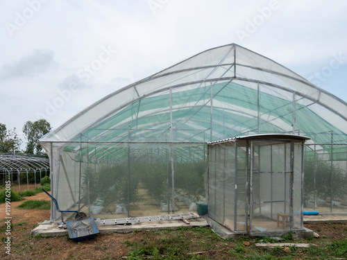 Obraz na płótnie Modern Greenhouse for Sustainable Farming in a Mountain Orchard. w salonie