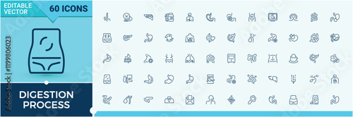 Digestion Process line icons set. It contains symbols to digestion, microflora, food, diarrhea, med, liver, anatomy. Thin linear style icons. Editable vector icon and illustration.