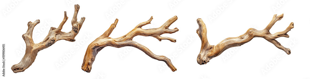 Dry, weathered tree branches with intricate textures and unique shapes, transparent background, ideal for natural decor, aquarium setups, or artistic designs Dry, weathered tree branches with intricate textures and unique shapes, transparent background, ideal for natural decor, aquarium setups, or artistic designs