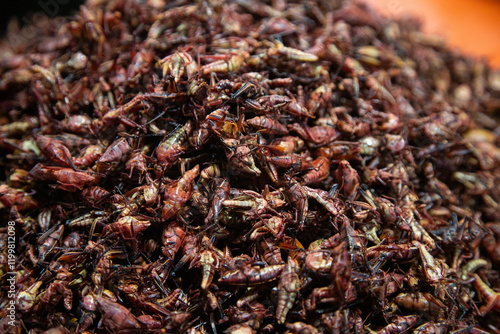 Grasshoppers are edible insects used in Mexican cuisine in the Oaxaca region. photo