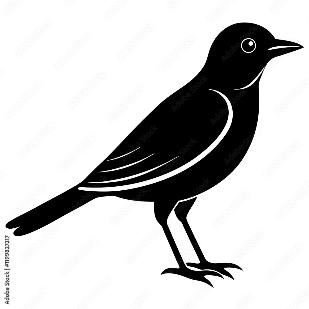 Obraz premium crow on a white background