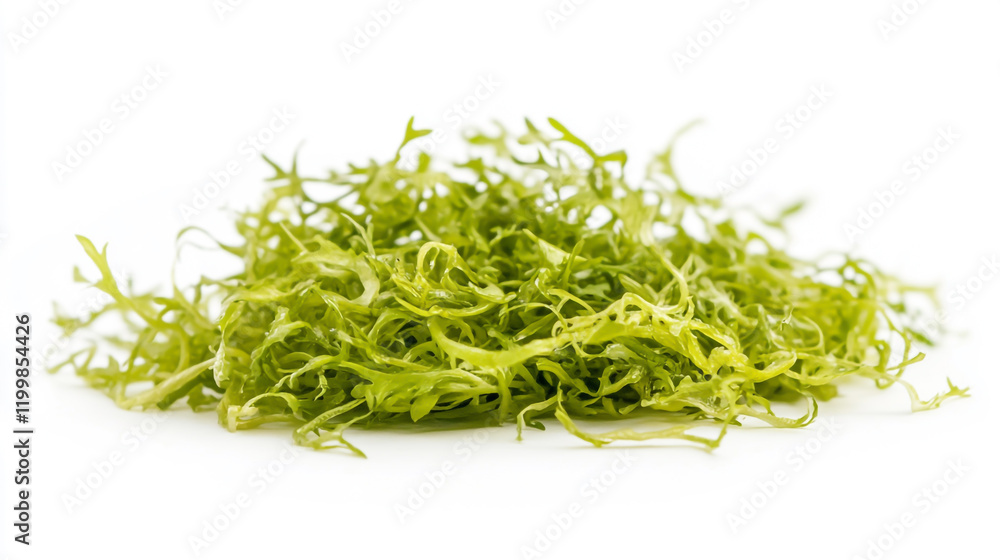 Frisée lettuce salad isolated on a white background. Frisée lettuce salad isolated on a white background.