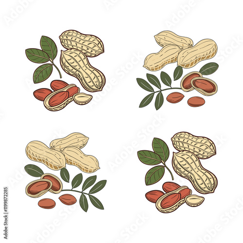 Illustration of Peanuts with Shells, Leaves, and Opened Seeds in Artistic Depiction