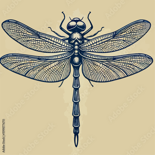 dragonfly on white background
