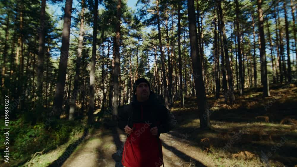 Traveling, Walking, Man, Forest Traveling, Walking, Man, Forest
