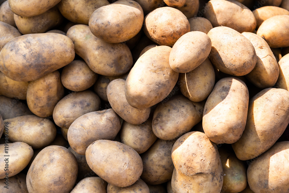 Pile of fresh potatoes in market Pile of fresh potatoes in market