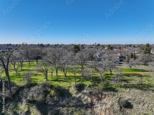 Obraz na płótnie vineyard w salonie