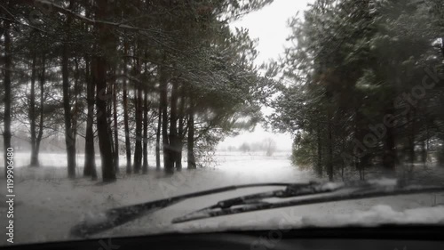 Wallpaper Mural Windshield View Driving Car Through Snowy Forest Torontodigital.ca
