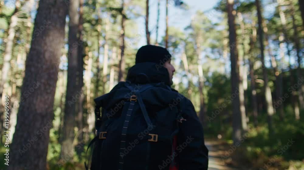 Traveling, Walking, Man, Forest Traveling, Walking, Man, Forest