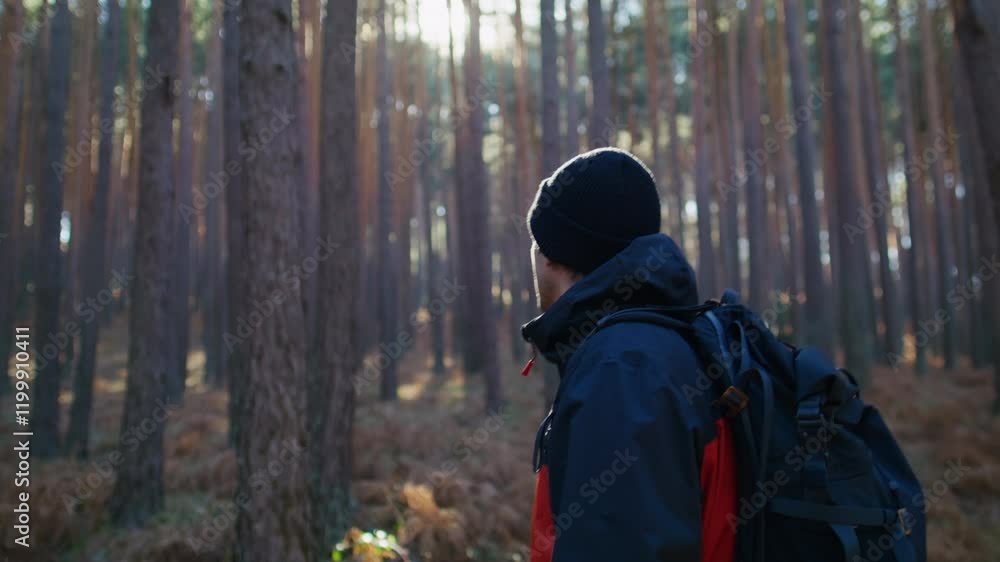 Traveling, Walking, Man, Forest Traveling, Walking, Man, Forest
