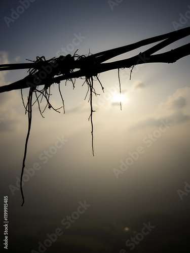 Life's fleeting nature hangs by a thread, precariously balancing the cement of routine with the wild chaos that lurks just beyond the edge. photo