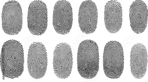 Fingerprint or thumbprint set isolated, thumbprint over white , vector