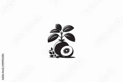 A Quince fruit vector silhouette image made by adobe illustrator. eps