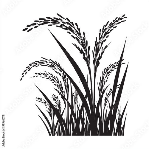 Rice plant silhouette on white background
