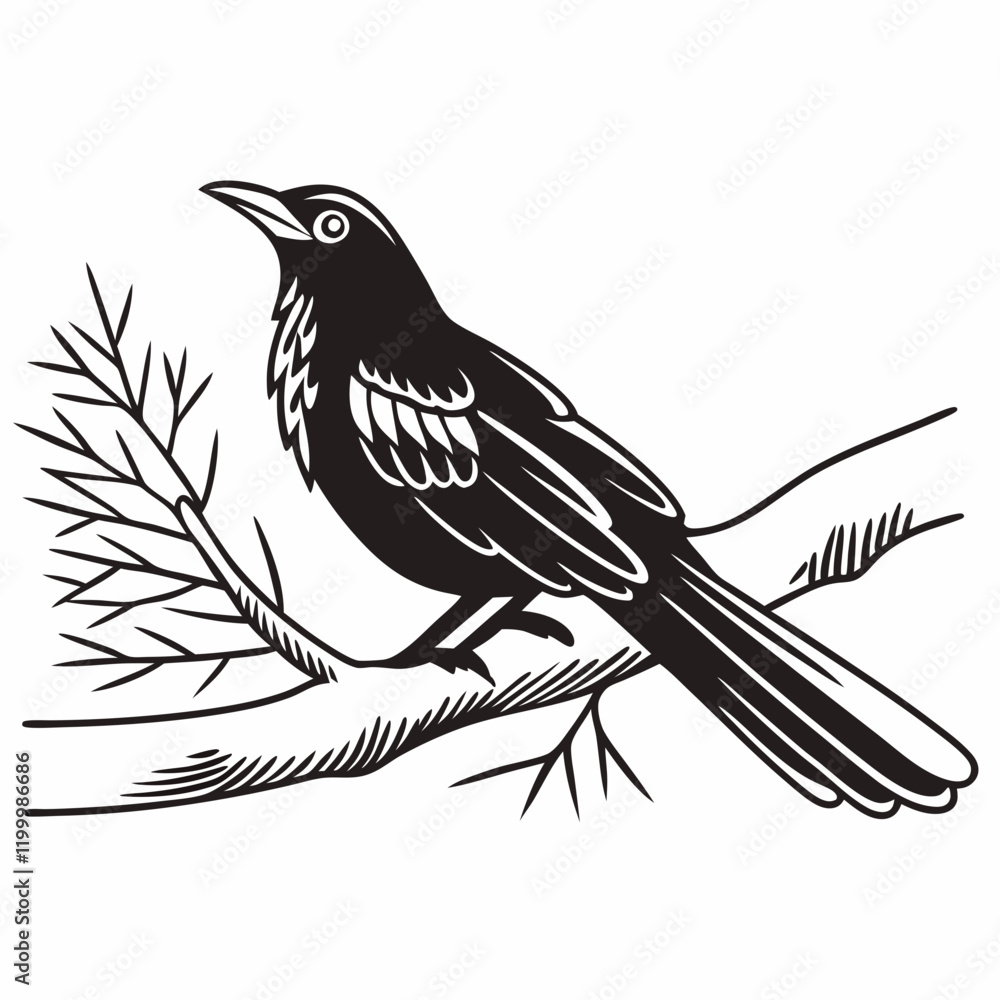 Fototapeta premium bird on a branch